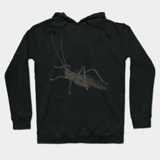 Dramabite Vintage grasshopper illustration Hoodie